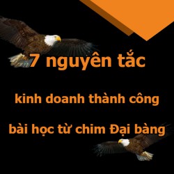 7 nguyên tắc kinh doanh thành công bài học từ chim Đại bàng 7 nguyên tắc kinh doanh thành công bài học từ chim Đại bàng