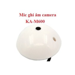 Hướng dẫn chi tiết cách lắp mic thu âm cho hệ thống camera đơn giản, hiệu quả Hướng dẫn chi tiết cách lắp mic thu âm cho hệ thống camera đơn giản, hiệu quả