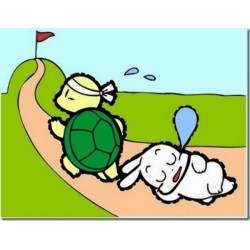 Bài học sâu sắc từ câu chuyện Thỏ và Rùa Bài học sâu sắc từ câu chuyện Thỏ và Rùa