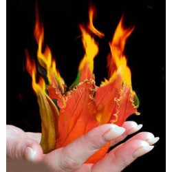 Vì lòng người là giấy Vì lòng người là giấy